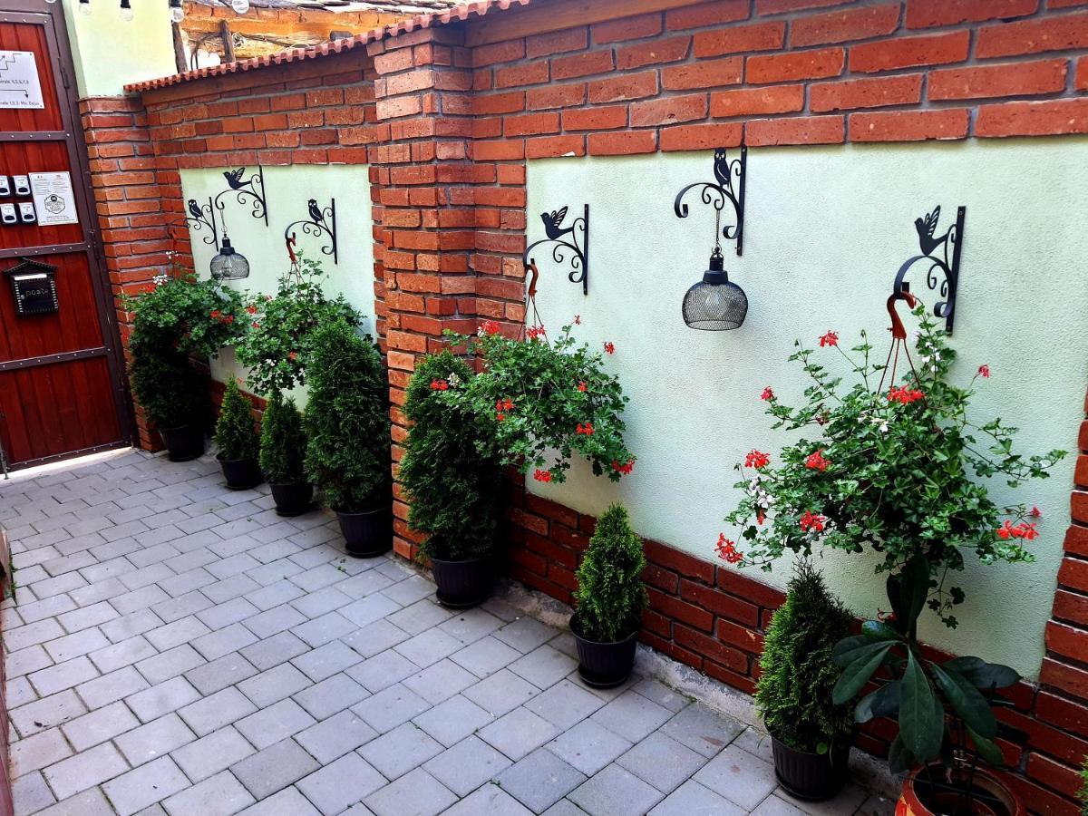 Brother'S House Сібіу Екстер'єр фото